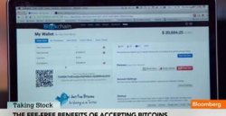 Bitcoin Wallet: Video