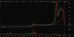 Rise and Collapse of Bitcoin