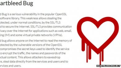 The bug is in a software library used in servers, operating systems and email and instant messaging systems.