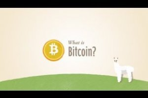 Bitcoin-Qt wallet backup