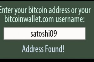 Bitcoin wallet JSON