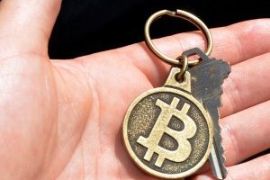 Bitcoin wallet password lost