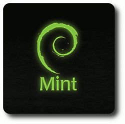 Installing Linux Mint 16